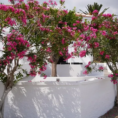 The Mill * Karpathos Town (Pigadia)