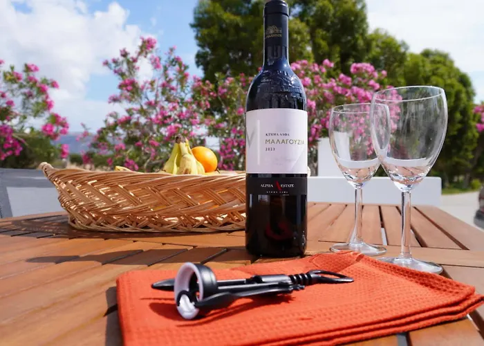 The Mill アパート カルパトス