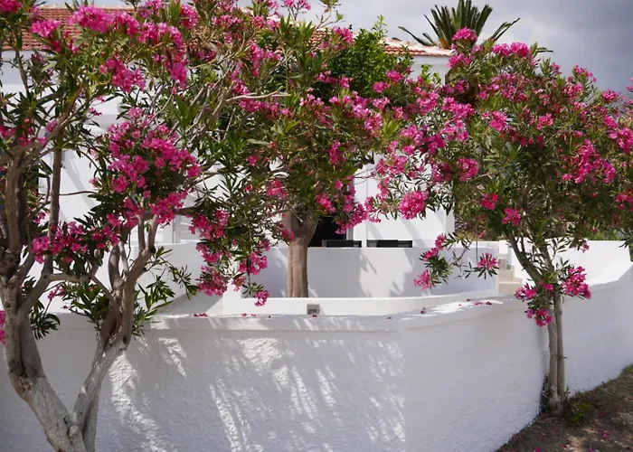 The Mill * カルパトス